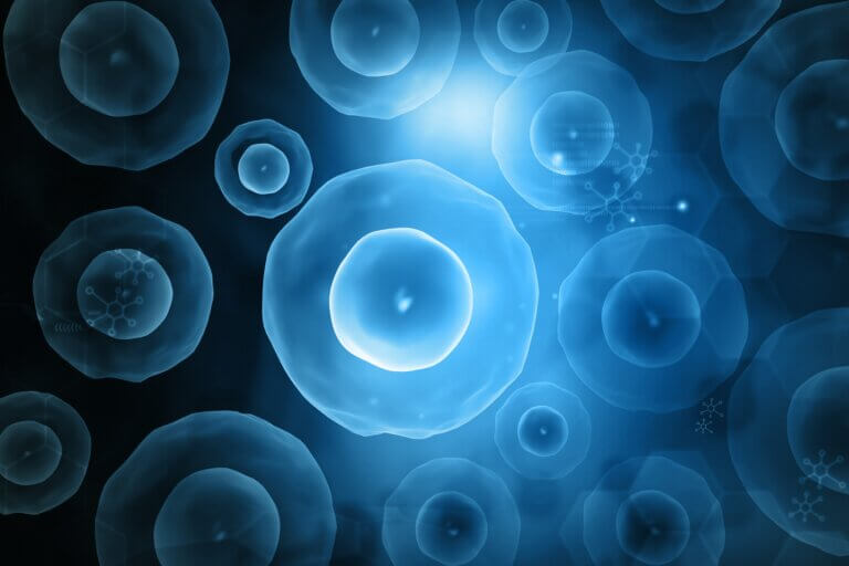 本公司外泌體原料已取得INCI並登錄於化粧產品登錄平台： Chicken Embryonic Mesenchymal Cell-Derived Exosomes